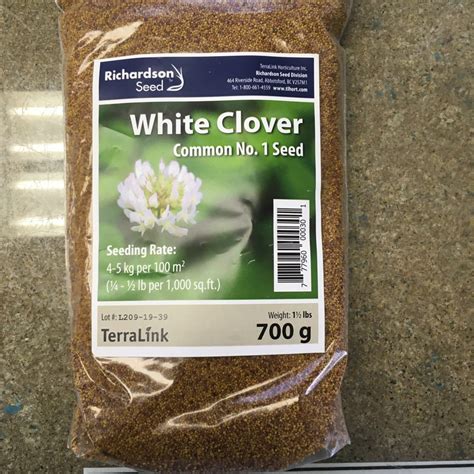 White Clover Seed › Anything Grows