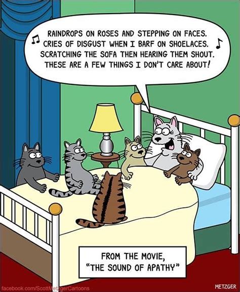 funny cat cartoons with captions cat mania
