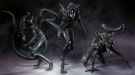 Alien Colonial Marines Full Hd Wallpaper And Background Image