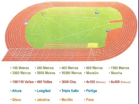 Principio de periodizacion del entrenamiento. Historia tecnica de_carreras_de_velocidad