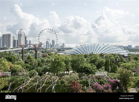 An elevated view of the skyline and Gardens by the Bay in Singapore