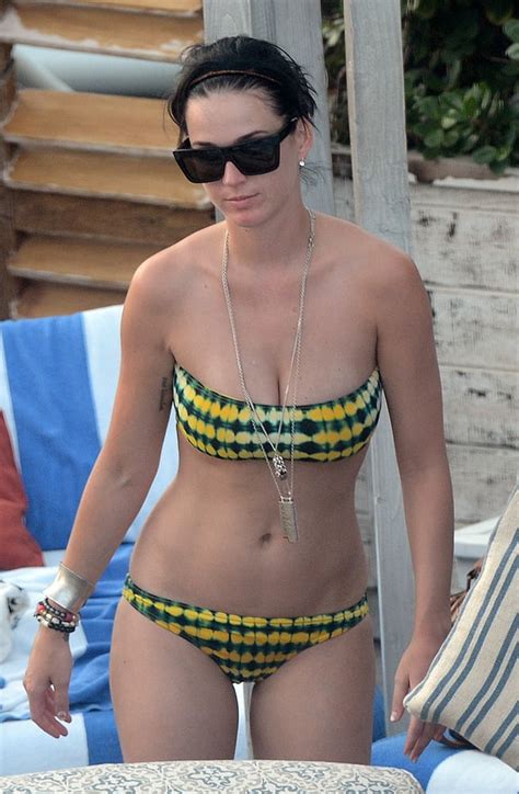 Katy Perry Camel Toe In A Bikini Pics XHamster