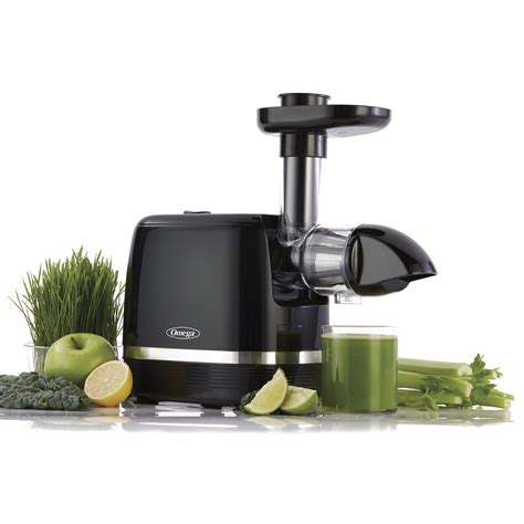 Buy Omega Juicer H3000r Cold Press 365 Slow Masticating Juice Extractor