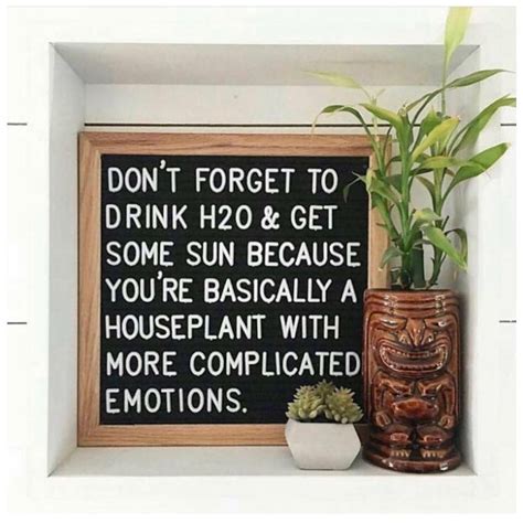 Don T Forget To Drink H O Get Some Sun Because You Re Basically A Houseplant With More