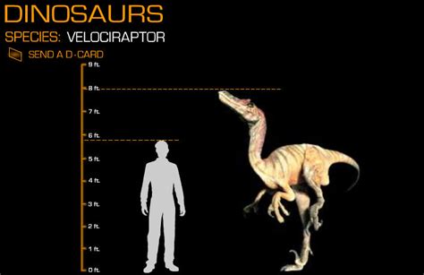 Disney Dinosaur Size Comparison Velociraptor By Wolfman3200 On Deviantart