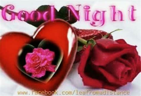 Pin By Rajesh Joshi On Good Night Romantic Good Night Good Night