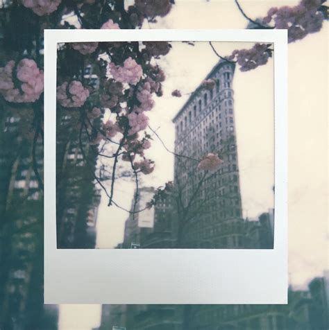 Blossoms In New York Polaroid Autofocus R Polaroid