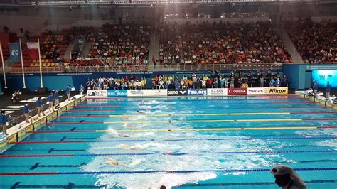 Fina swimming world cup 2019. 2014 FINA World Swimming Championships (25 m) - Wikipedia