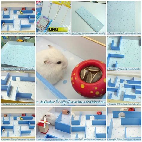 Diy Hamster Maze Pet Diy Projects Diy Stuffed