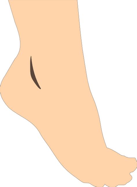 White Foot Clip Art At Vector Clip Art Online Royalty Free