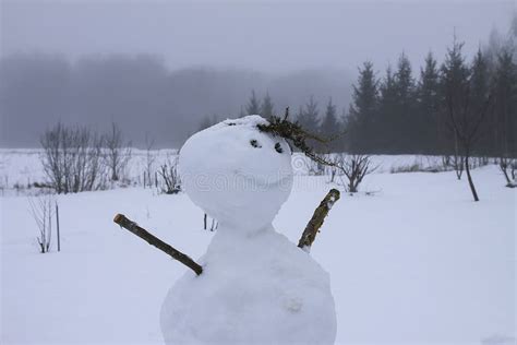 Funny Snowman On Snow Covered Rural Field Stock Image Image Of White