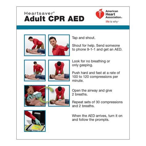Master The American Heart Association Cpr Test With These 2023 Answers