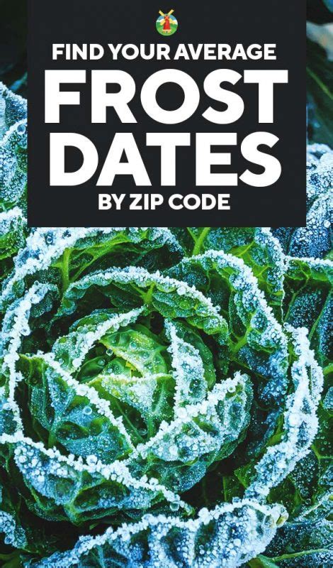 This is the first real frost i had at my house this year. Find the First and Last Frost Dates in Your Area by ZIP Code
