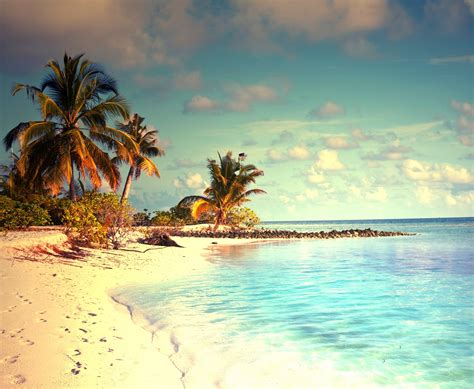 Sea Beach Sand Palm Trees Tropical Water Wallpapers Hd Desktop