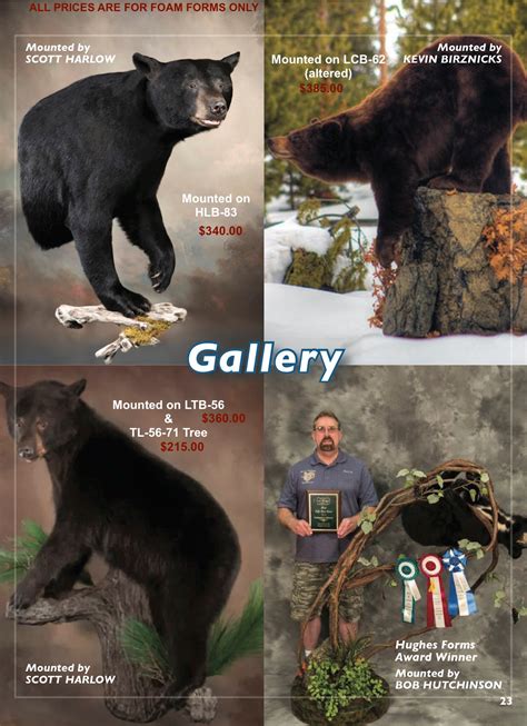 Bear Forms Bear Taxidermist Bear Taxidermy Black Bear Mount Bear