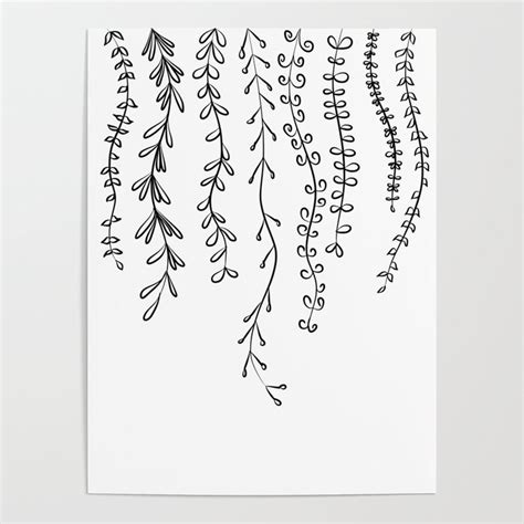Line Drawing Vines And Leaves Poster By
