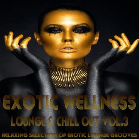 download va exotic wellness lounge and chill out vol 3 relaxing selection of erotic lounge