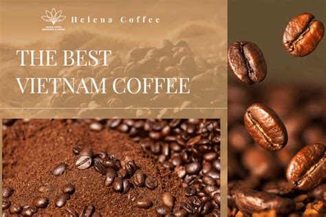 The Best Vietnam Coffee Helena Coffee Vietnam