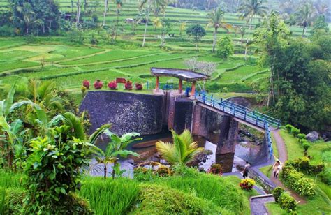 Subak The Ancient Secret Behind Bali S Postcard Worthy Rice Fields