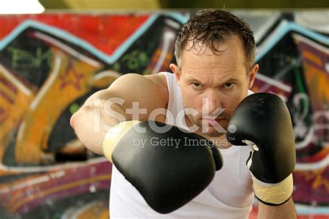 Boxer Punch Stock Photo Royalty Free Freeimages