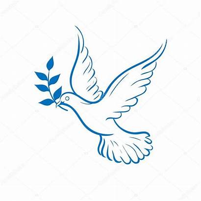 Dove Peace Pomba Paz Vredesduif Azul Blauwe