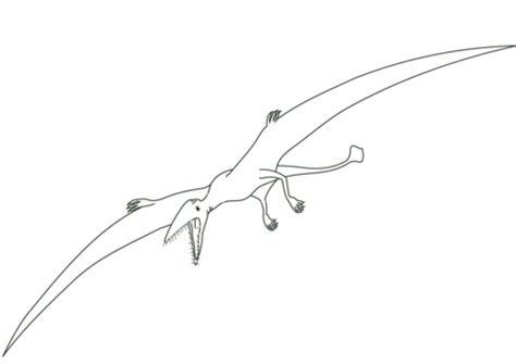 Elasmosaurus was a plesiosaur, a type of marine reptile. Allosaurus Kleurplaat Ausmalbild: Stegosaurus Dino ...