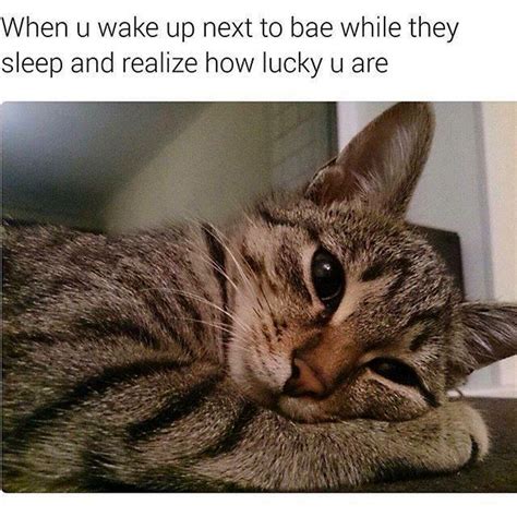 50 Flirty Memes For Him Naughty Memes To Send Him Bee Healthy