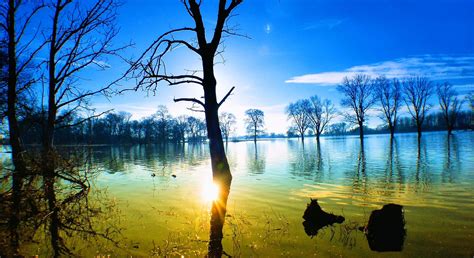 Leafless Brown Tree And Body Of Water Nature Landscape Sunset Lake