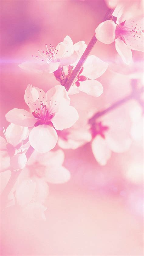 Free 28 Pink Iphone Backgrounds In Psd Ai