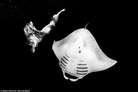 Professional Mermaid Goes Tail To Tail With Giant Manta Ray