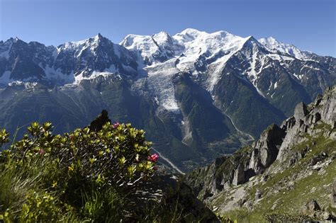 Five Climbers Die, One Still Missing on France's Mont ...