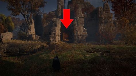 Dark Souls Easter Egg Found In Assassin S Creed Valhalla
