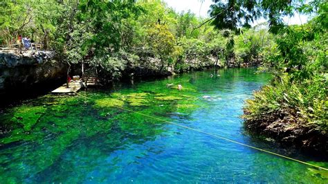 Cenote Jardin del Eden Cenotes Snorkeling Riviera Maya Quintana Roo