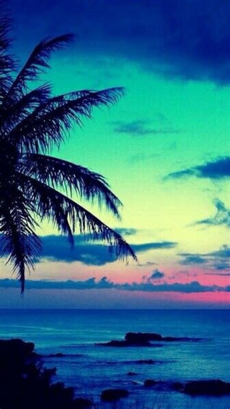 Iphone Wallpaper Tropical Tjn Blue Sunset Beach