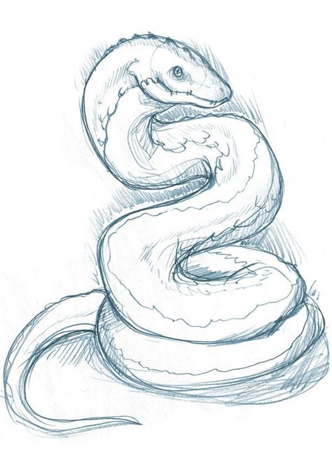 Crowding may occur on a specific body of water on a given day. Snake-a snake | Snake drawing, Snake art, Animal drawings