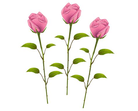 Pink Rose Svg Pink Rose Clipart Pink Rose Graphic Rose Svg Etsy