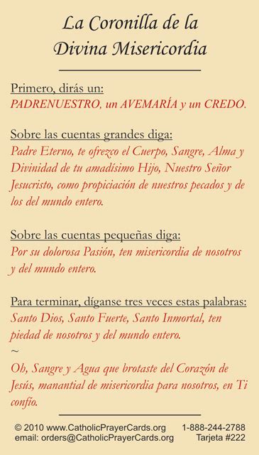 Spanish Divine Mercy Chaplet Prayer Card Buy1get1free