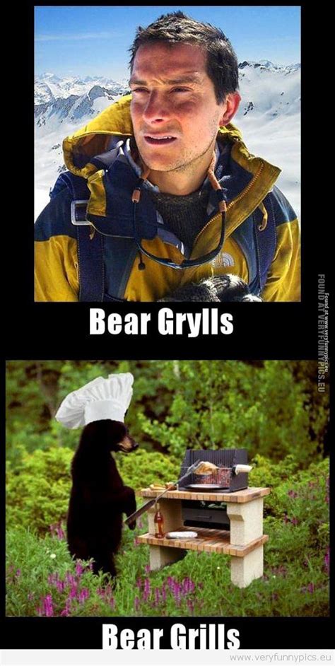 Funny Quotes About Bears Quotesgram