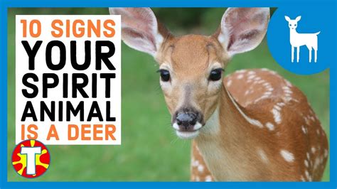 Deer Spirit Animal 10 Signs Your Spirit Animal Is A Deer