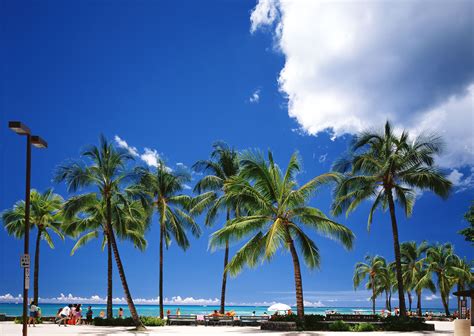 His 【ハワイ】ホノルル ワイキキビーチ 写真で見る世界の観光名所 観光名所 旅行ツアー ワイキキビーチ
