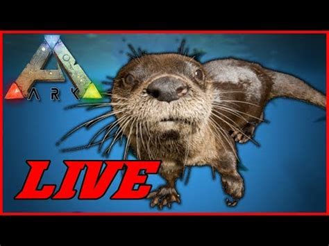There is a farm of both of these at 20.1 / 82.8. Ark Survival Evolved Ragnarok - Neuen Otter Zähmen 😀 ...