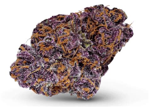 Buckeye Purple Strain Cannabis Dispensary Theory Wellness