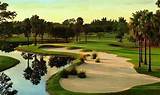 Golf Packages Sarasota Florida Pictures