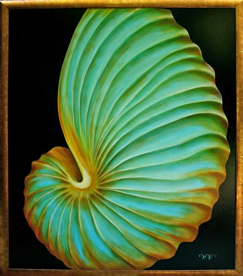 Paper Nautilus 52 X 60 Flwrlvr Flickr