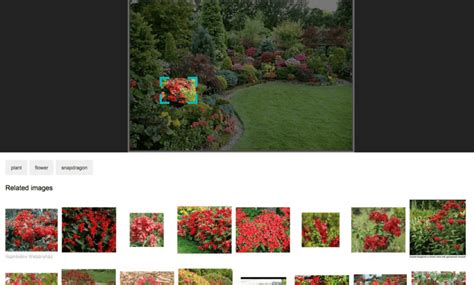 Bing Visual Search Lets You Search Specific Objects Within