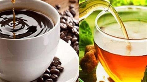 Perbedaan Kopi Dan Teh Tingkat Kafein Dan Antioksidan Tribunnews