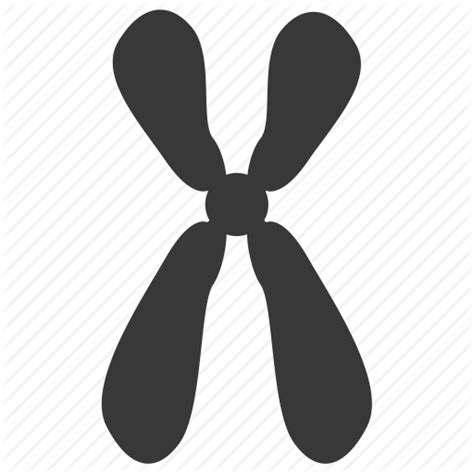 Chromosome Png 20 Free Cliparts Download Images On Clipground 2023