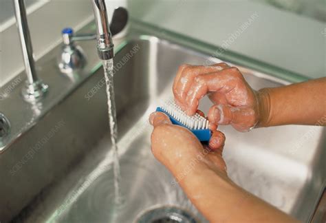Proper Medical Hand Washing Technique Stock Image C0124105