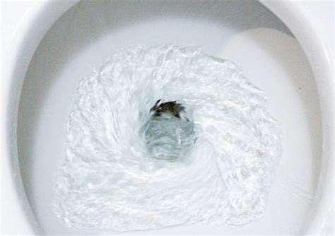 The 4 Types Of Toilet Flushing Systems  Plumbing