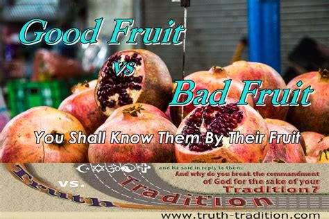 Good Fruit Vs Evil Fruit You Shall Know Them By Their Fruit Truth